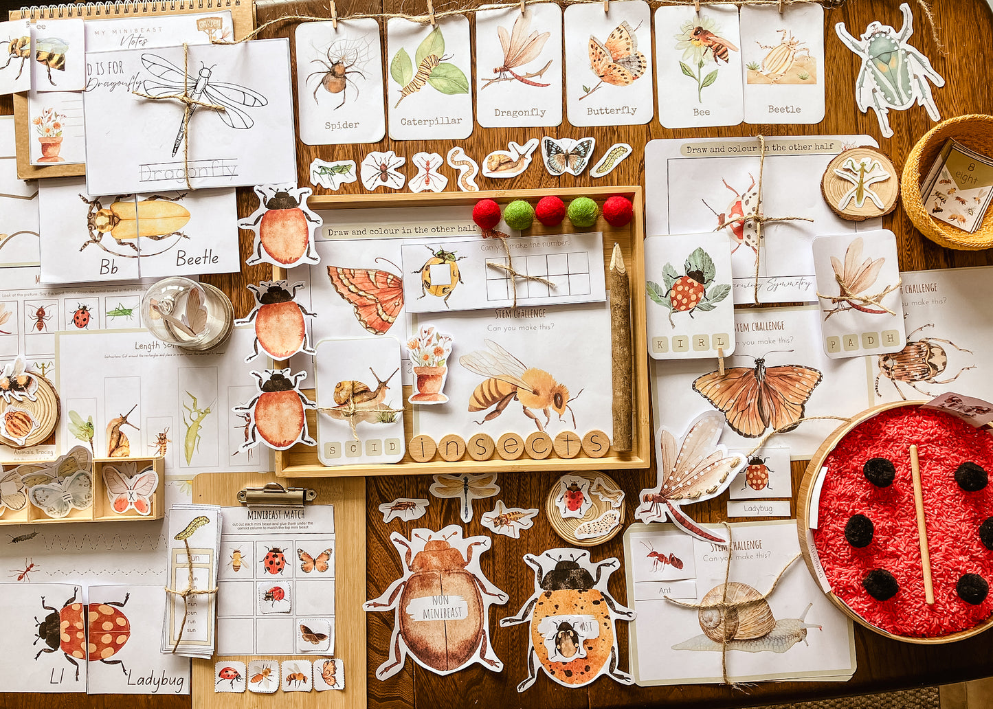 Mini Beast Activities - (insect) home education morning basket PLR