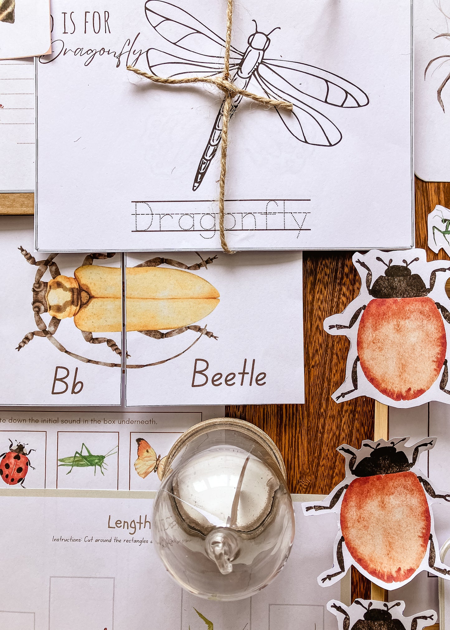 Mini Beast Activities - (insect) home education morning basket PLR