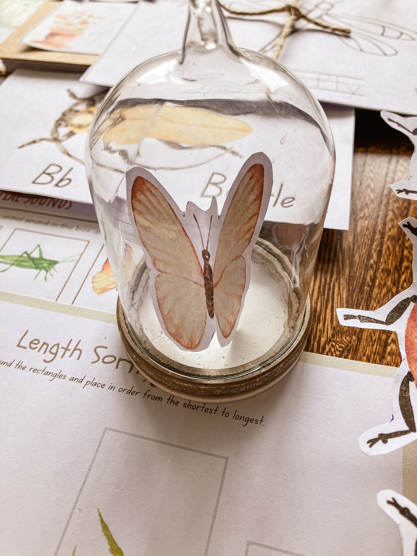 Mini Beast Activities - (insect) home education morning basket PLR