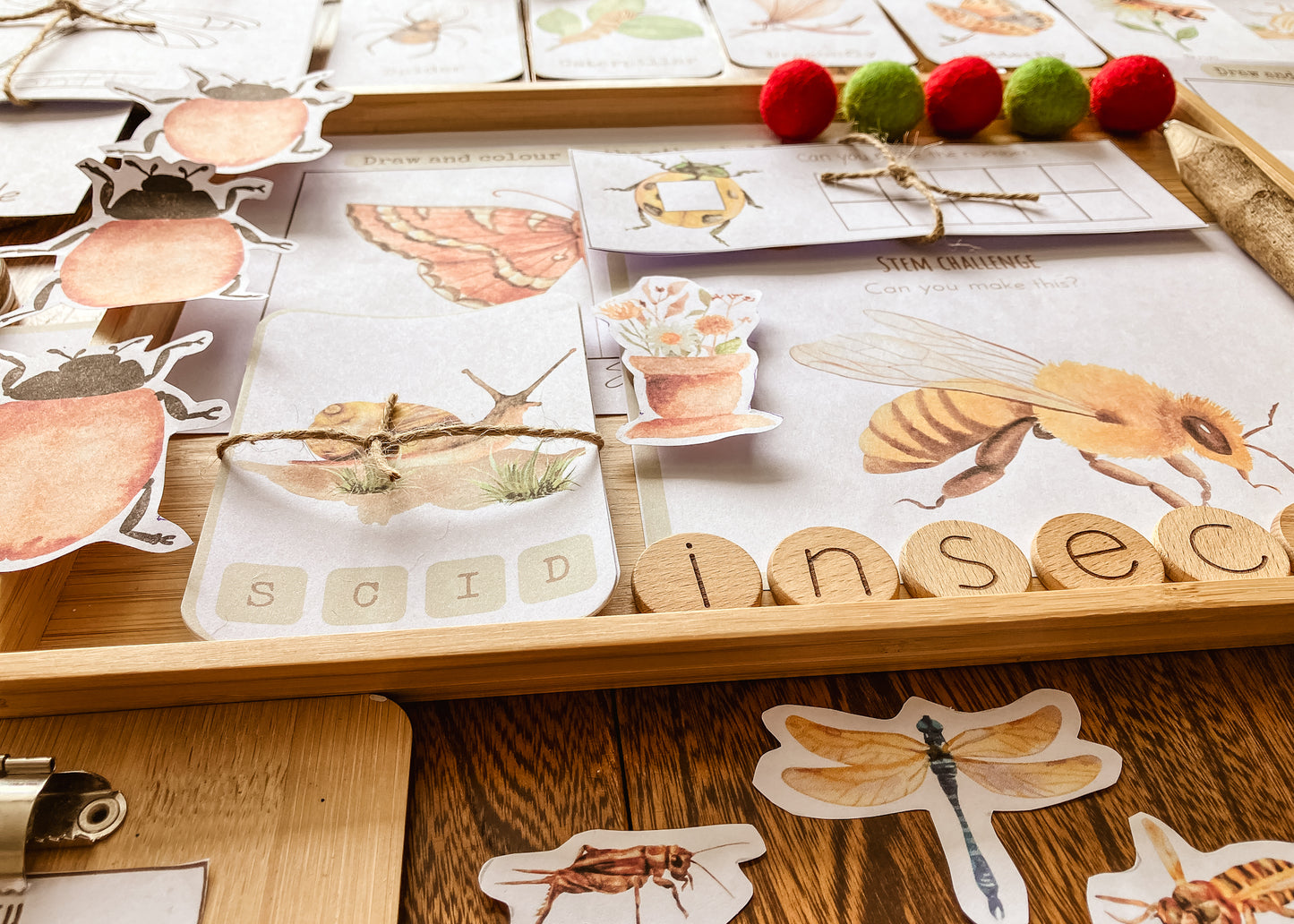 Mini Beast Activities - (insect) home education morning basket PLR