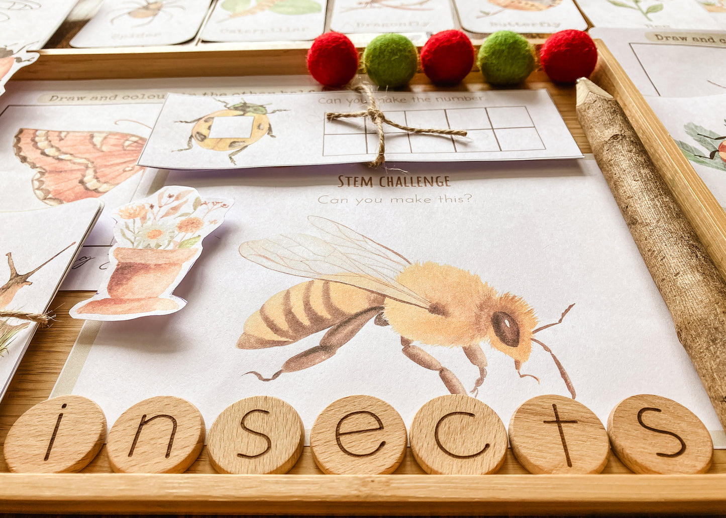 Mini Beast Activities - (insect) home education morning basket PLR