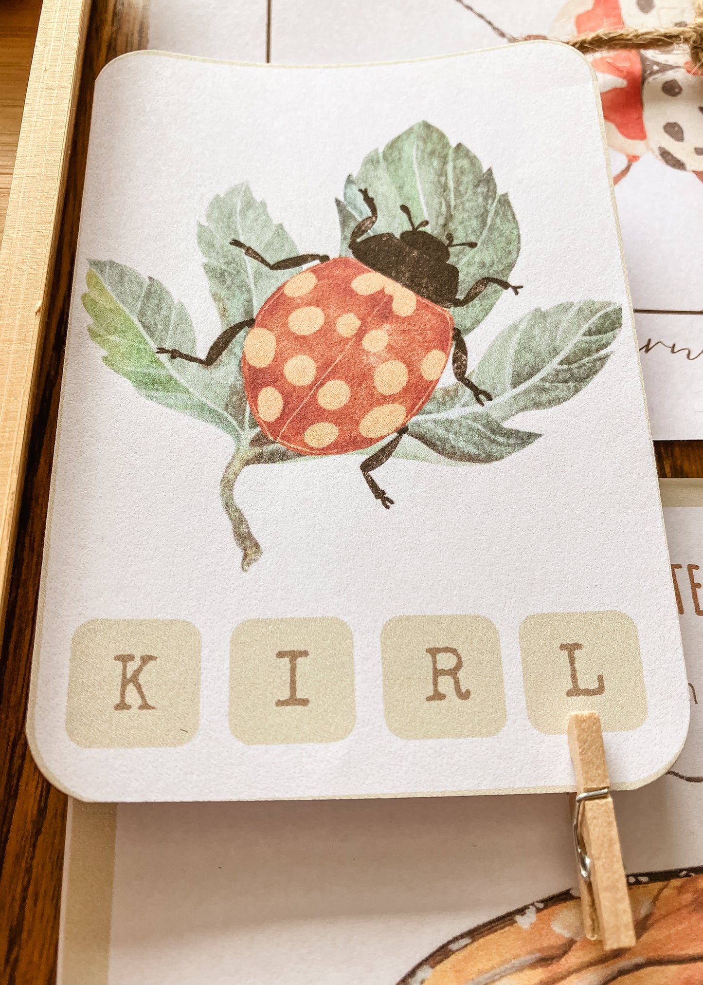 Mini Beast Activities - (insect) home education morning basket PLR