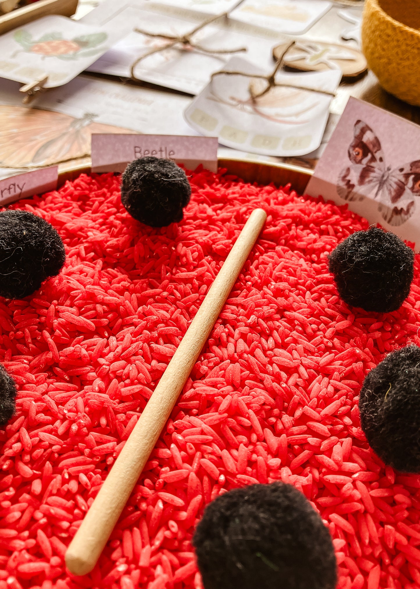 Mini Beast Activities - (insect) home education morning basket PLR