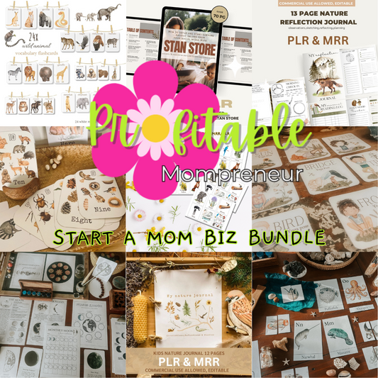 Start a Mom Biz Bundle MRR/PLR commercial use