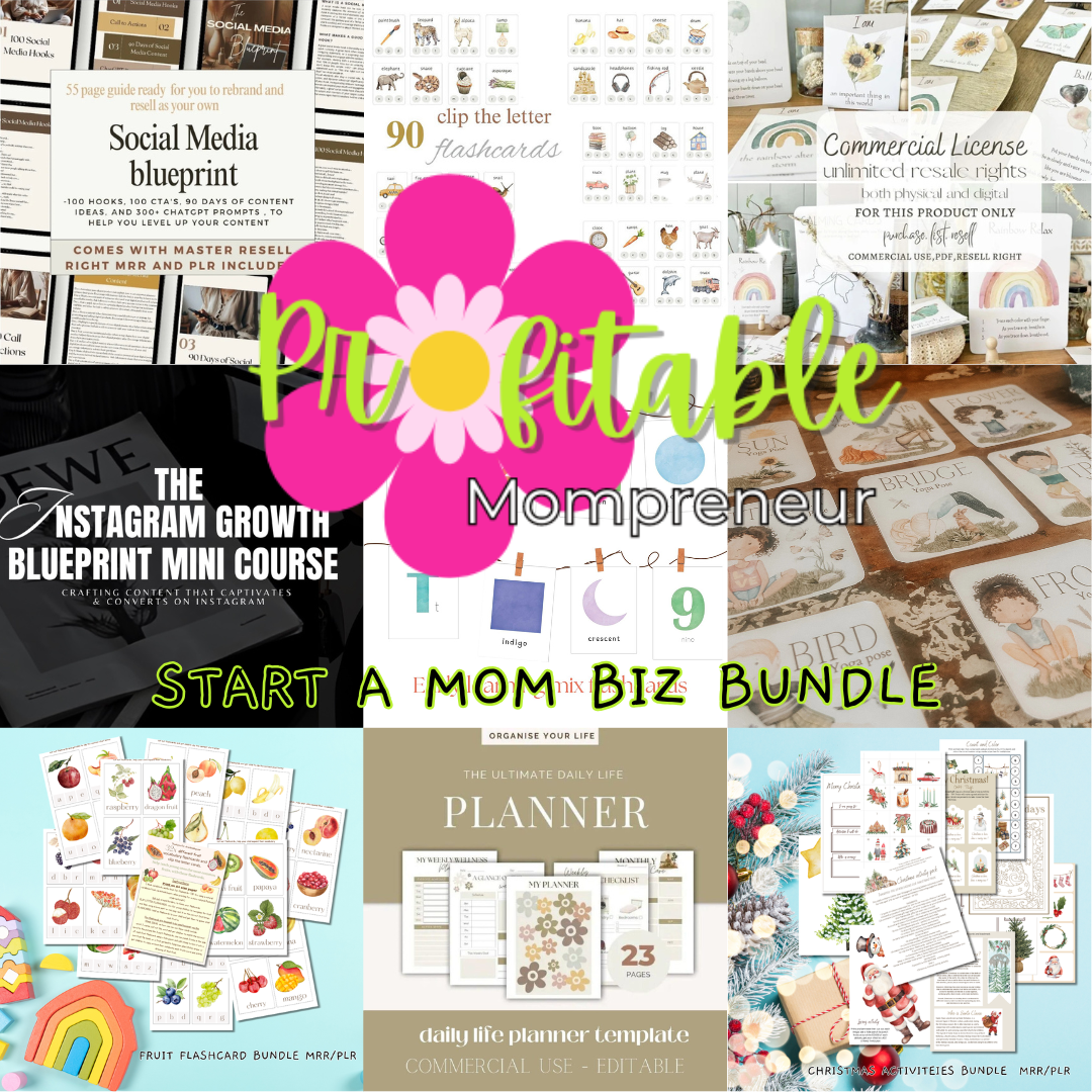 Start a Mom Biz Bundle MRR/PLR commercial use