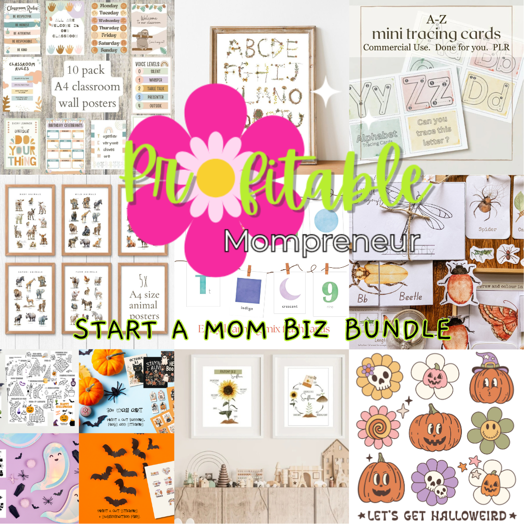 Start a Mom Biz Bundle MRR/PLR commercial use