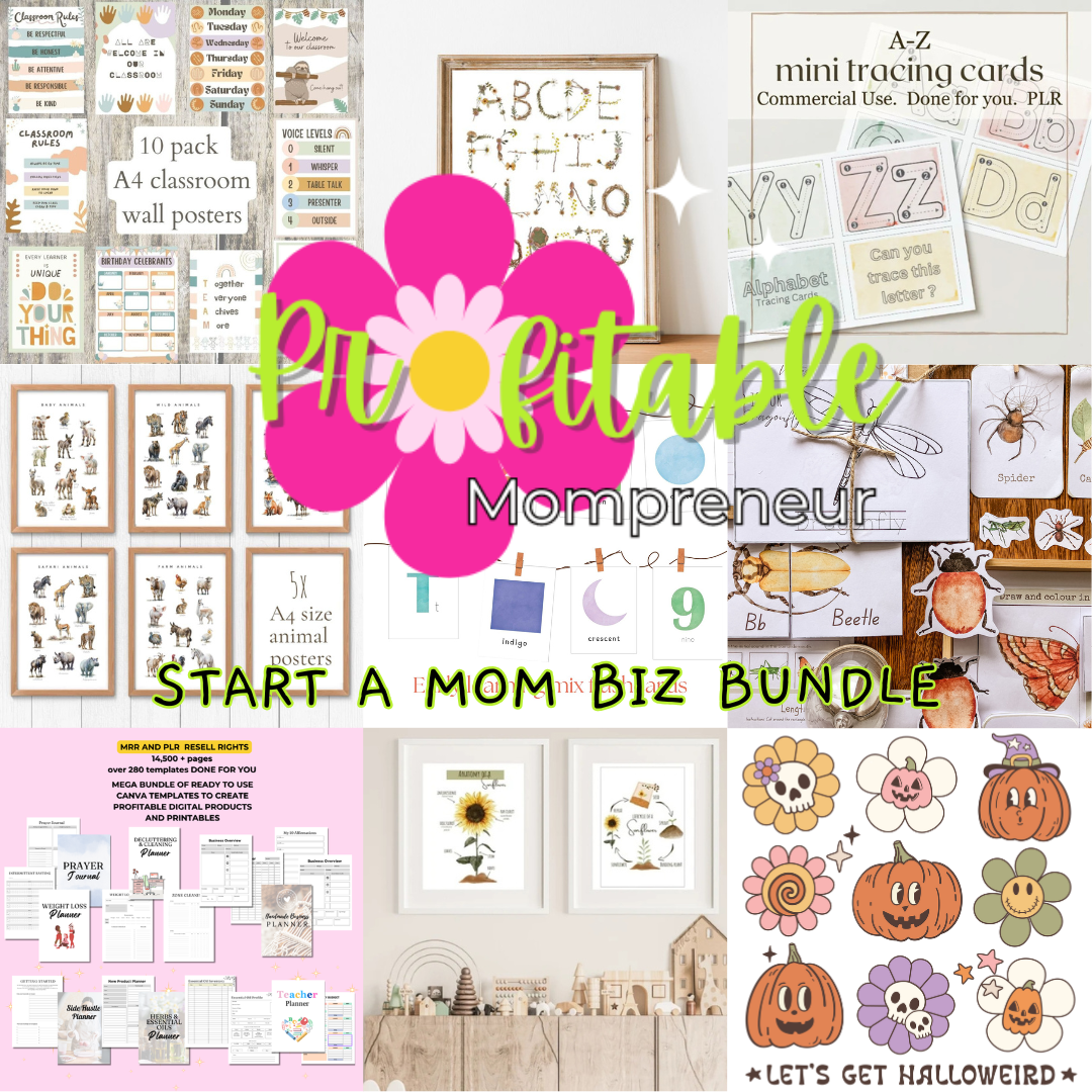 Start a Mom Biz Bundle MRR/PLR commercial use